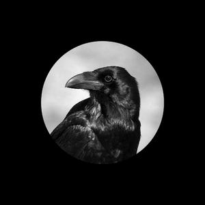 日本一级婬片日本高清视频一
