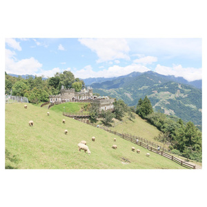 日本一级婬片日本高清视频一
