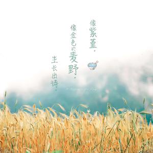 日本一级婬片日本高清视频一
